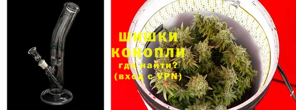 метадон Богданович