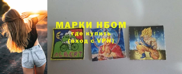 метадон Богданович