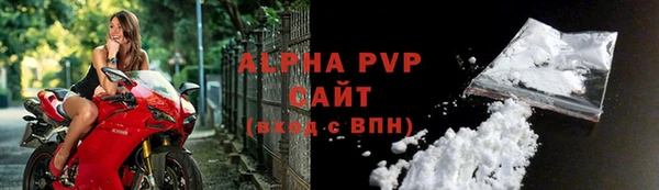 метадон Богданович
