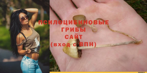альфа пвп Богородицк