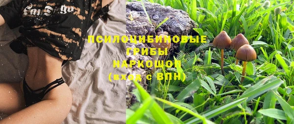 метадон Богданович