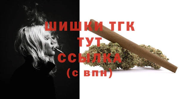 метадон Богданович