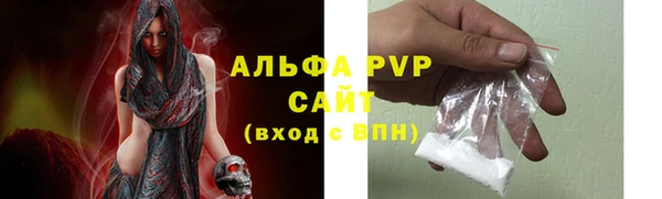 метадон Богданович