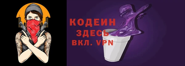 метадон Богданович