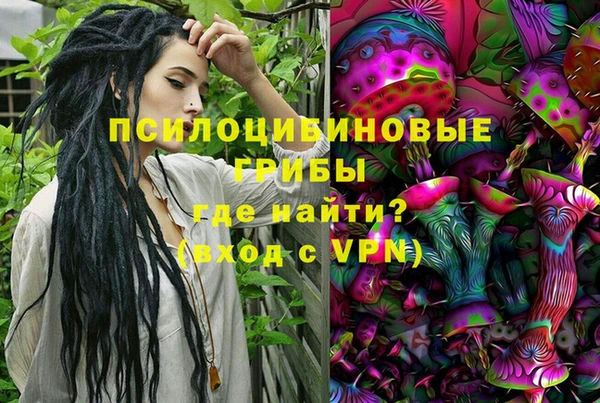 метадон Богданович