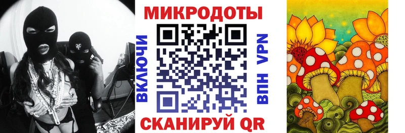 Псилоцибиновые грибы Psilocybine cubensis Светлый