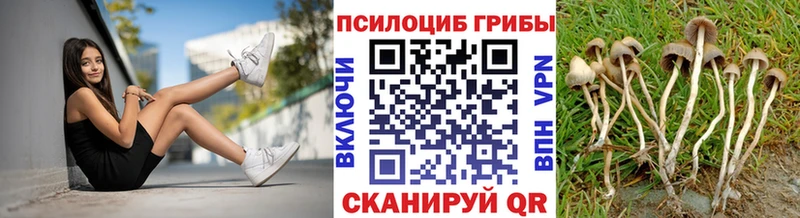 хочу наркоту  Светлый  Псилоцибиновые грибы Psilocybe 